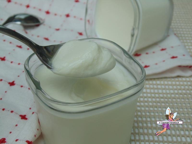 Yaourts fermes et fondants - recette en yaourtière
